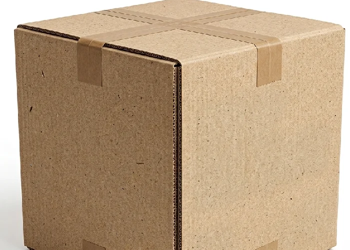 Compact plastic-free box ready for shipping.