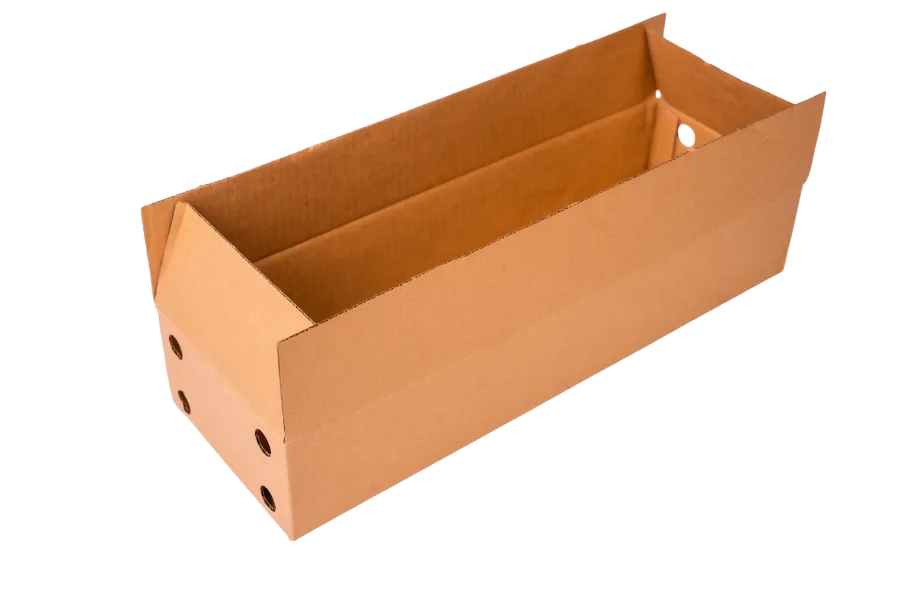 Fruit & Ice Cream Box